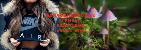 МДМА Новозыбков