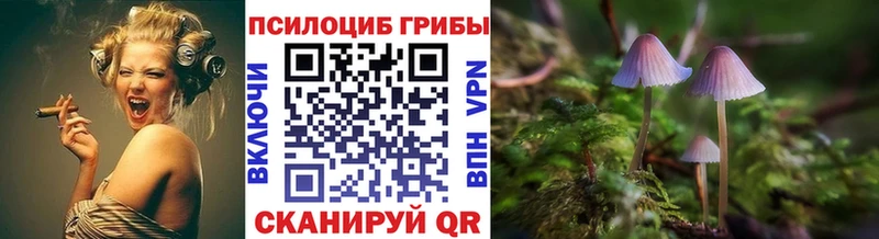 Псилоцибиновые грибы GOLDEN TEACHER  Краснозаводск 